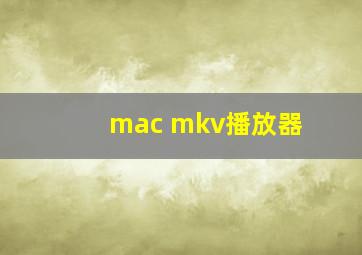 mac mkv播放器